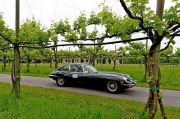 Le Jaguar nella zona del Prosecco e Cartize (98/152)